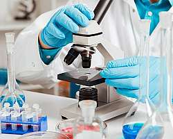 Bico de bunsen valor Bico de bunsen valor