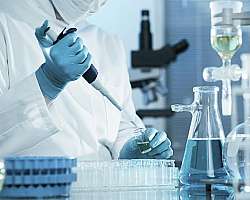 Bico de bunsen valor Bico de bunsen valor